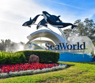 Disney Epcot 40 SeaWorld Area