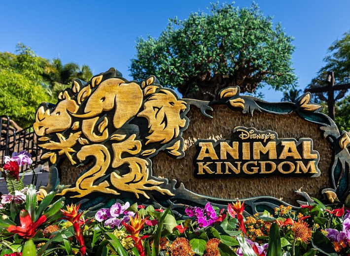 Disney Resort Transportation Amenities