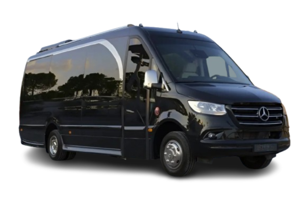 mercedes luxury vans