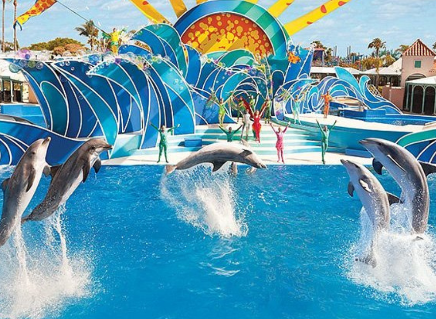 SeaWorld Orlando Transportation Amenities and Features