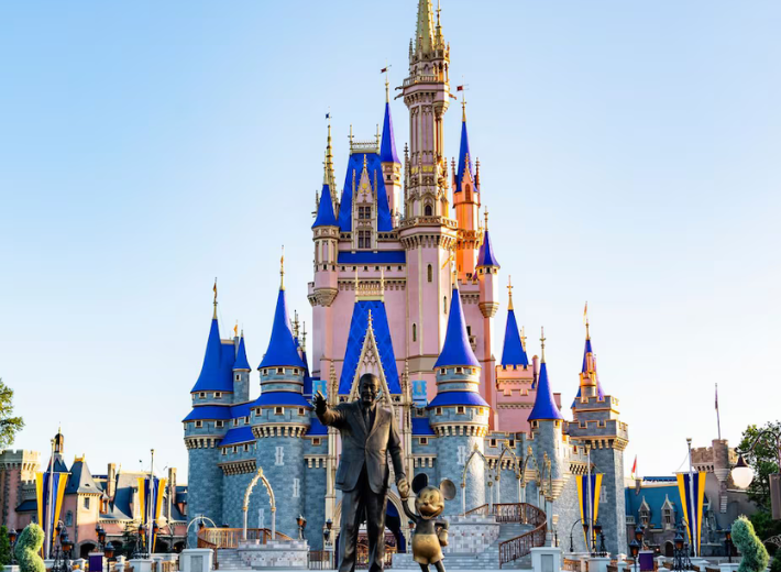 Disney Magic Kingdom Transportation Amenities and Features