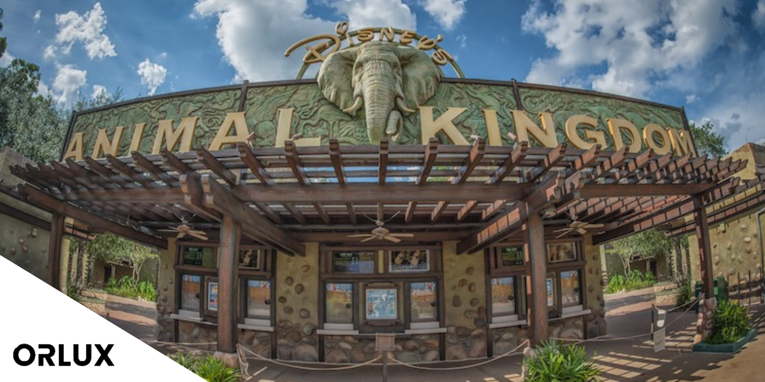 animal kingdom lodge transportation