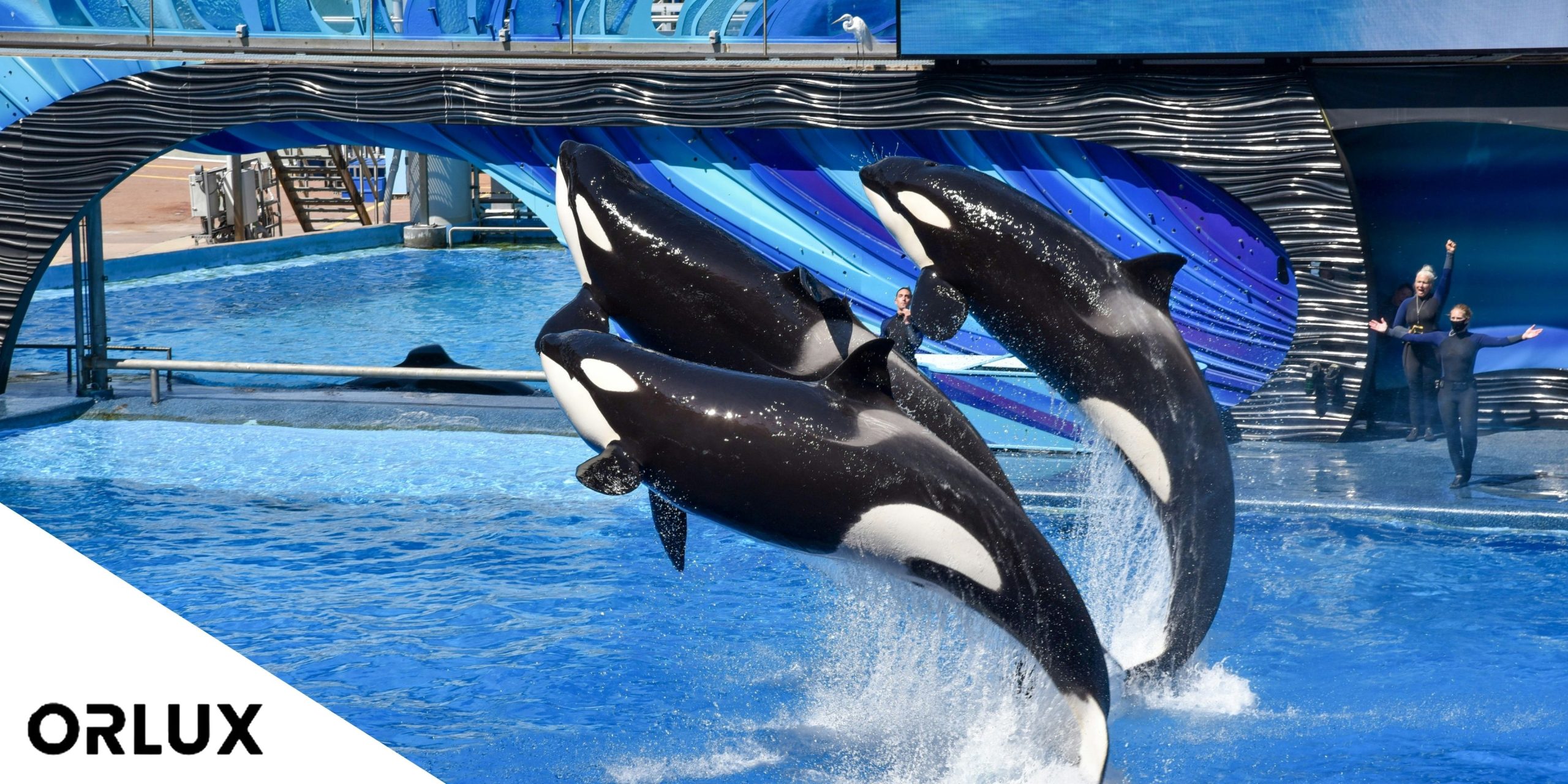 Seaworld Transportation orlando