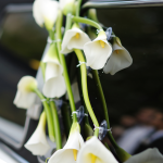 Orlando Wedding Transportation: The Complete 2026 Planner’s Guide for a Flawless Day