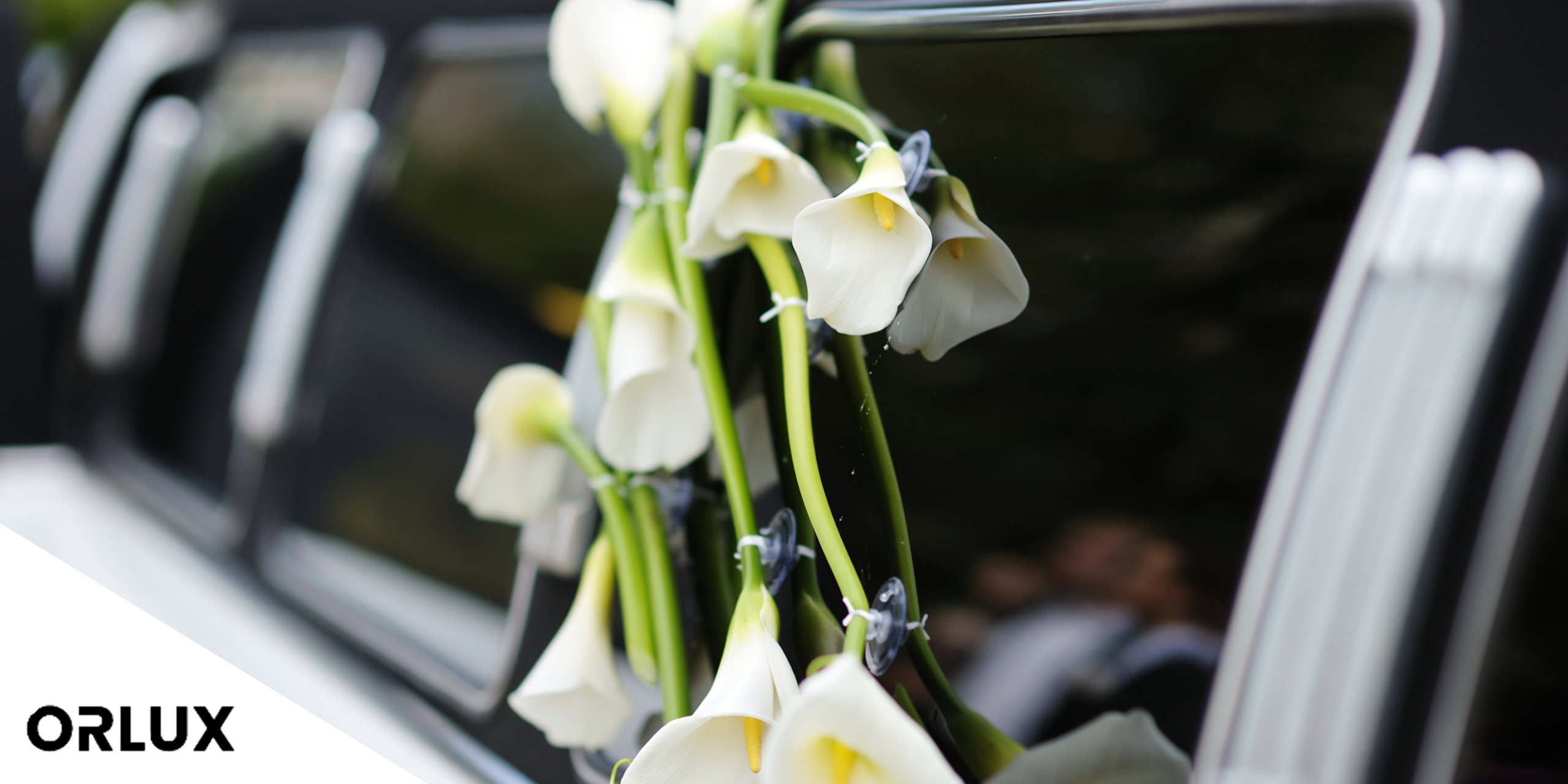 orlando wedding transportation