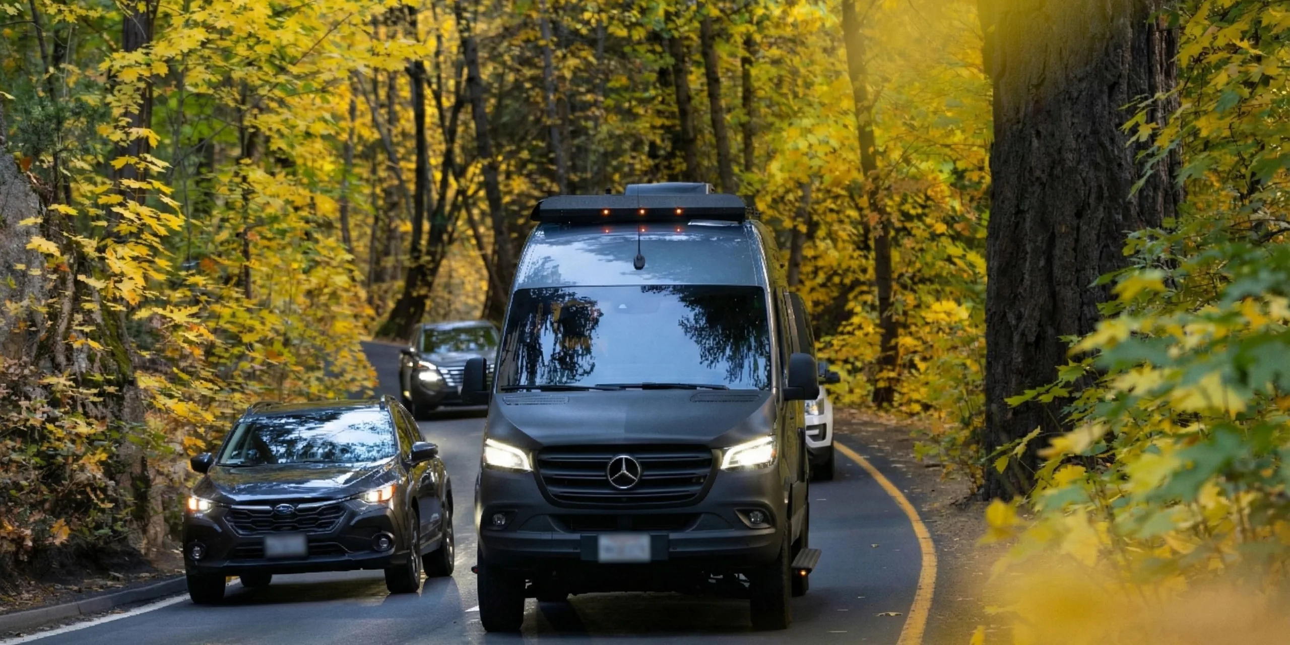 sprinter chauffeur service