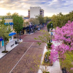 Mills 50 District Orlando: 2026 First-Timer’s Guide | Orlux